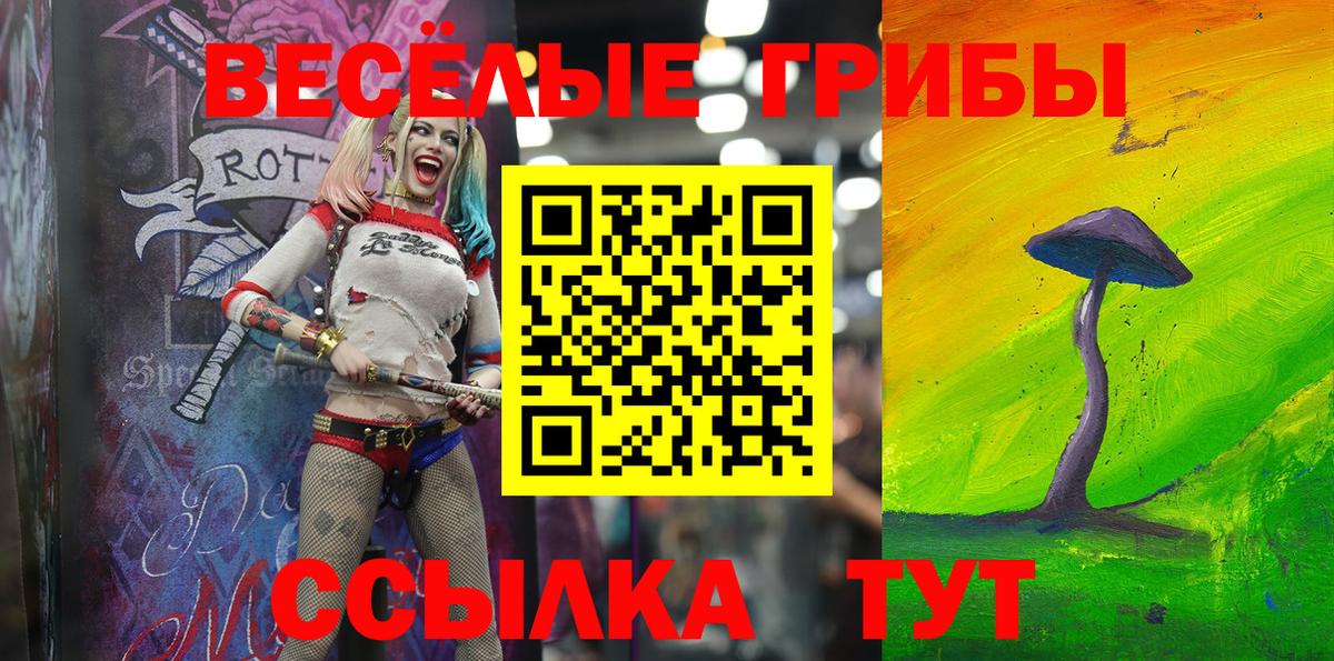 Псилоцибиновые грибы Psilocybe Усть-Кут