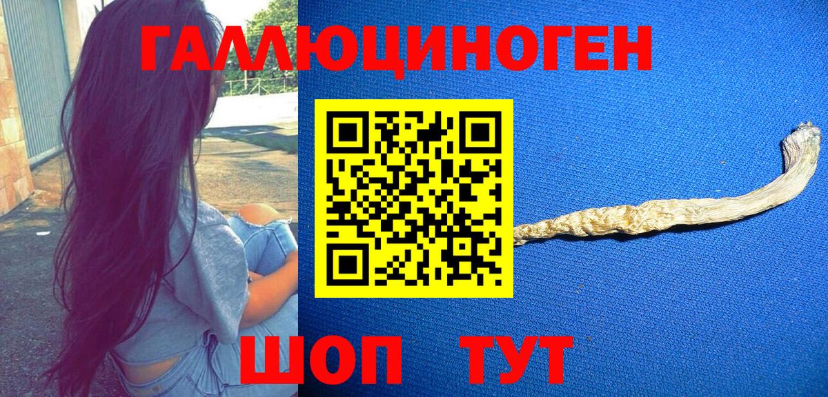 сколько стоит  Вход с VPN  Псилоцибиновые грибы Cubensis  Усть-Кут  Галлюциногенные грибы Psilocybe 
